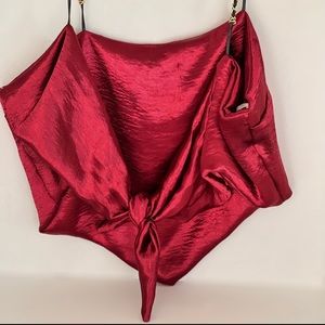 NWOT tie back satin cropped top